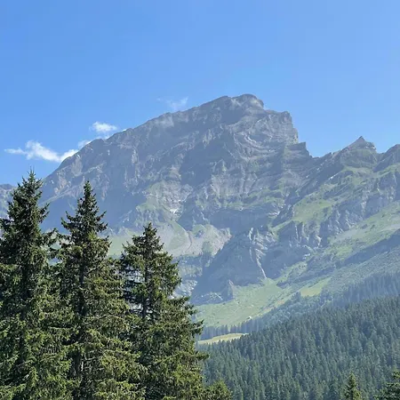 Nico * Les Plans-sur-Bex