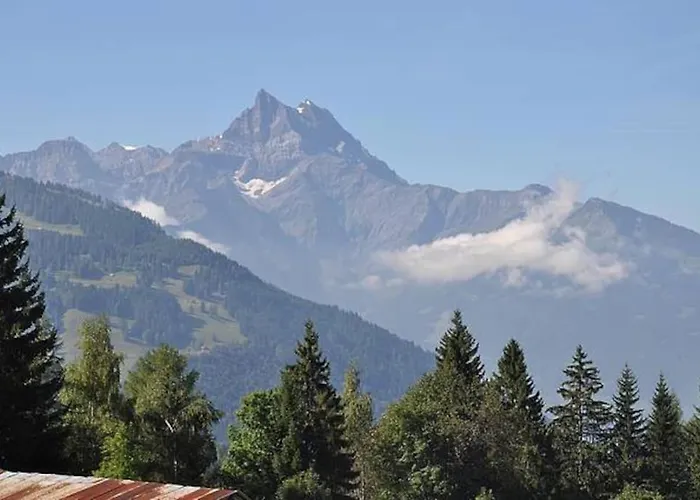 Nico * Les Plans-sur-Bex