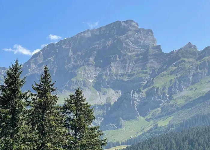 Nico * Les Plans-sur-Bex