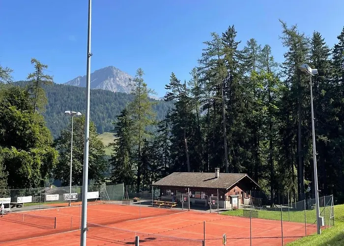 Nico Les Plans-sur-Bex