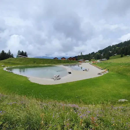 Nico Chalet Les Plans-sur-Bex