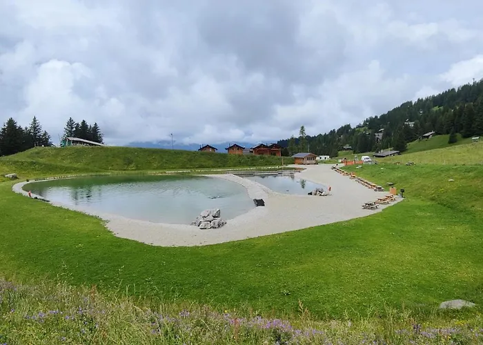 Nico Chalet Les Plans-sur-Bex